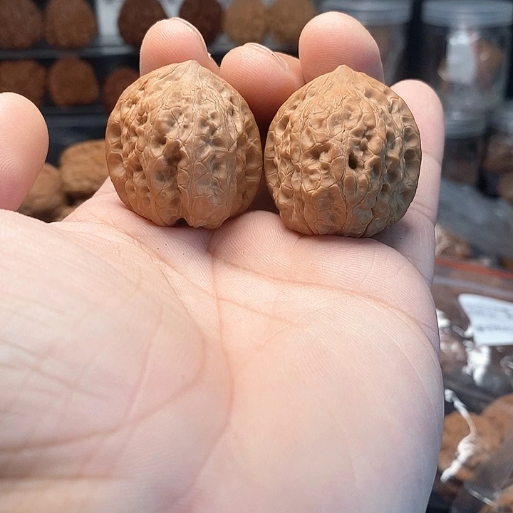 1文玩核桃蜡皮小狮子33-133