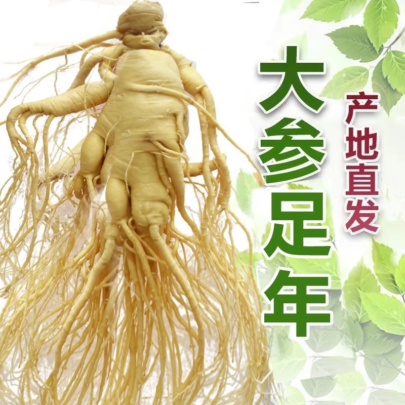 长白山人参可用于泡酒煲汤东北特产产地直发