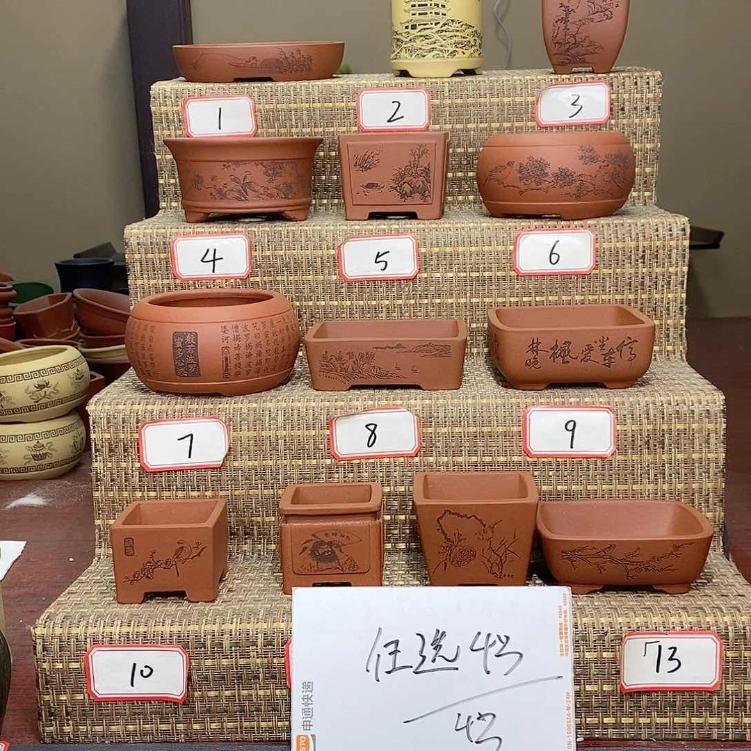 紫砂花盆我在等他