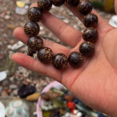 杂色豆（科檀/科特迪瓦檀木）抱****）