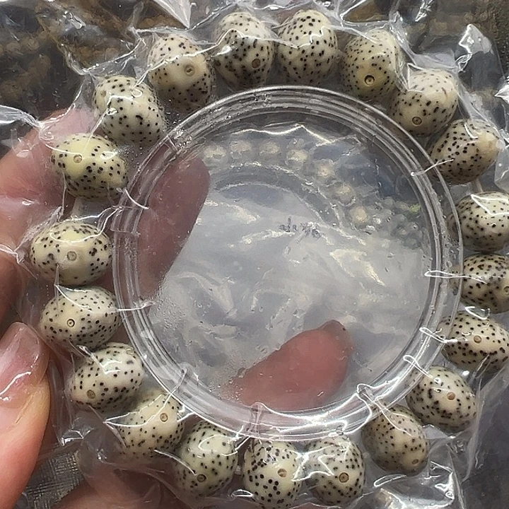 星月菩提手串海南原生态14苹果园正月
