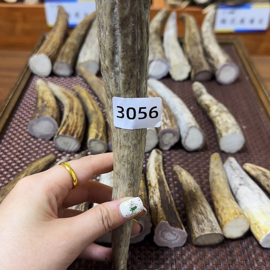 手串/手链鹿骨角尖3056