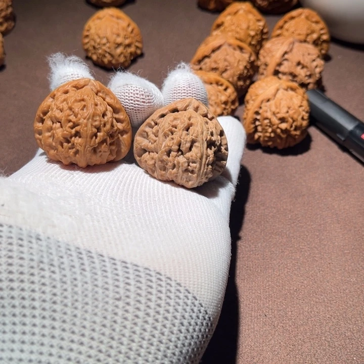 巴*克精品白狮子三角白