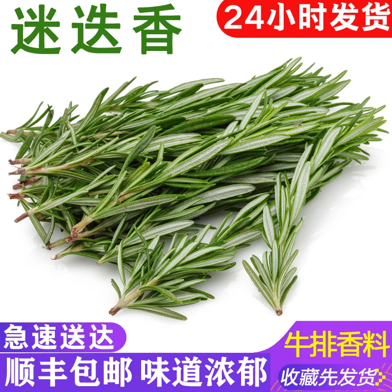 新鲜迷迭香50-500g 迷迪失香西餐煎牛排烧烤食用香料调料西餐配料