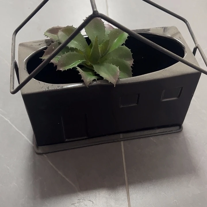 孤品给力炸炸炸炸炸炸