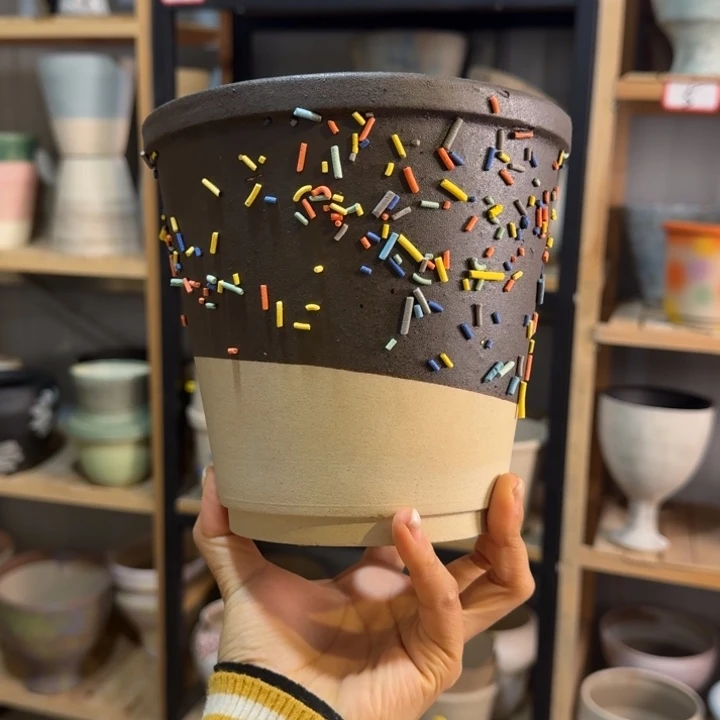 B****巧克力糖条花盆桌面款