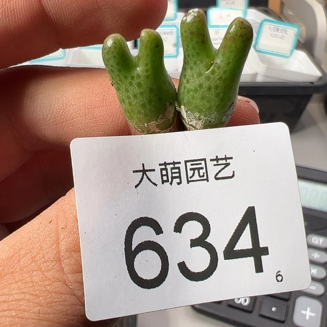 0000634 一物一拍……