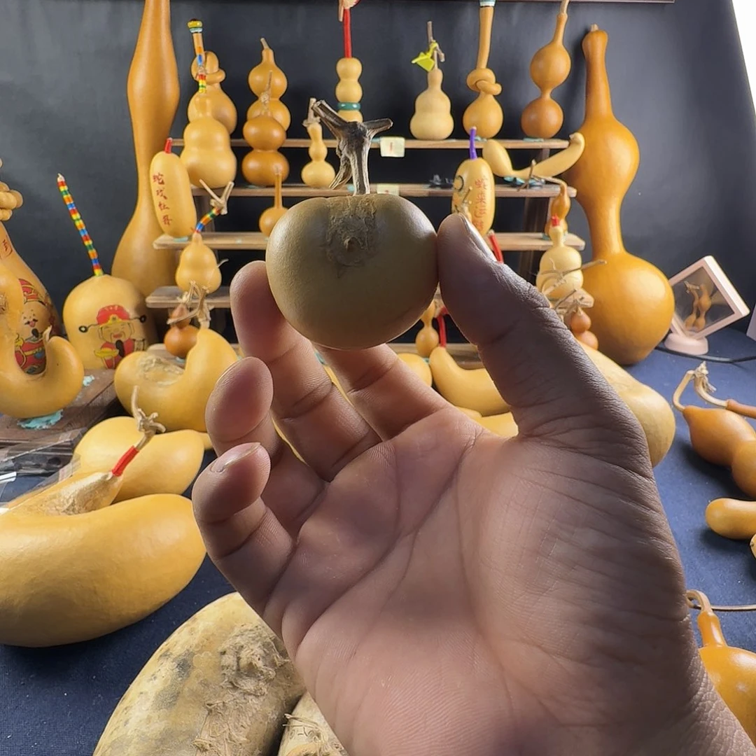 M****o葫芦葫芦真的超级好看