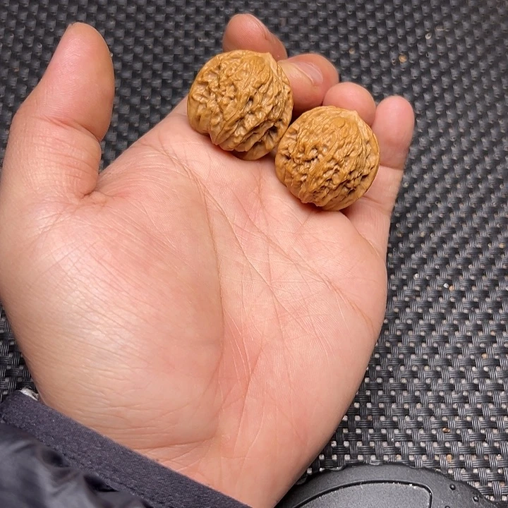 文玩核桃吊坠小狮子