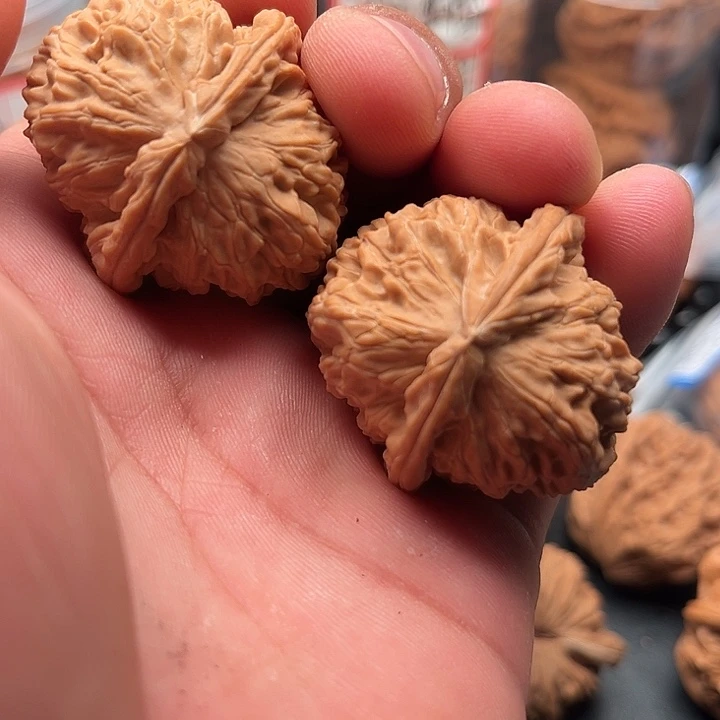 文玩核桃把件白狮子37