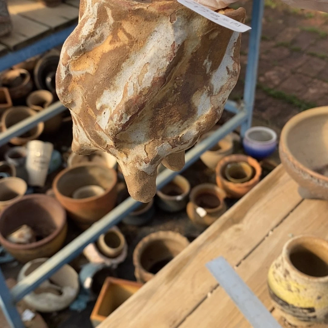 红陶A***n4号多肉盆一个呀