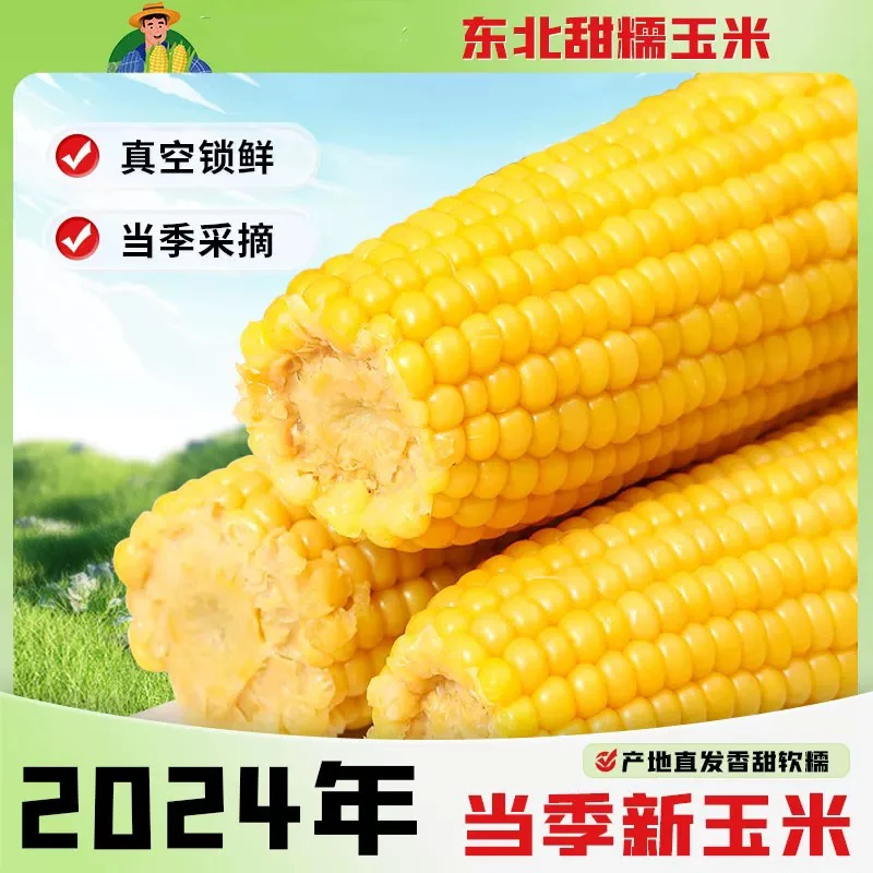 [24年头茬试吃2根]东北黄糯玉米整箱6-6.5斤左右软糯香甜代餐