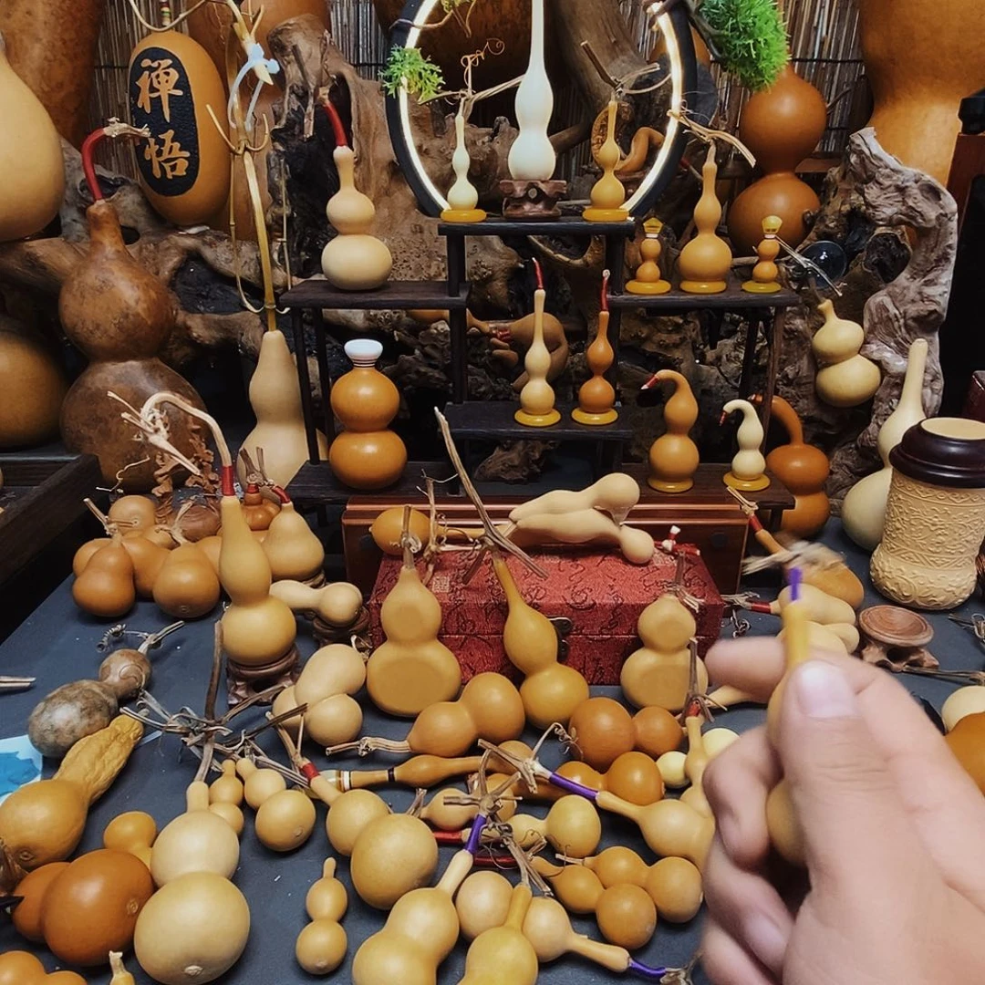 木天津嘴观音瓶葫芦