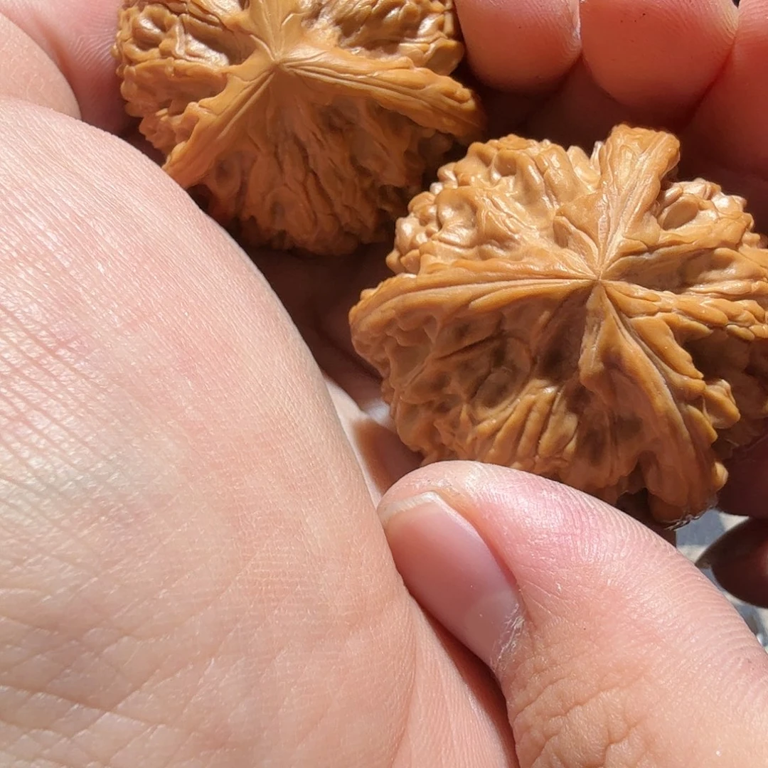 文玩核桃把件S***森御龙正奔