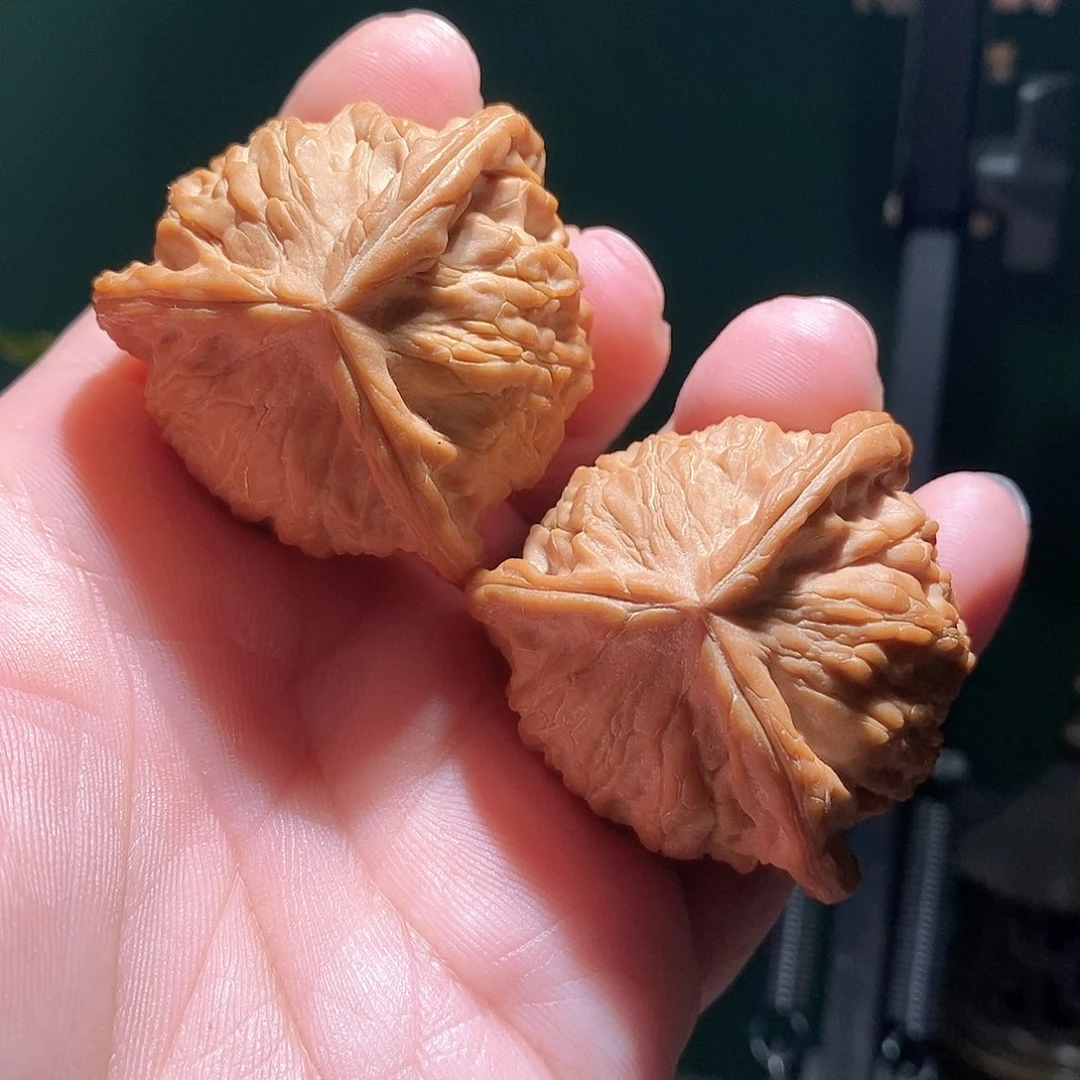 把件文玩核桃43糖三角全品