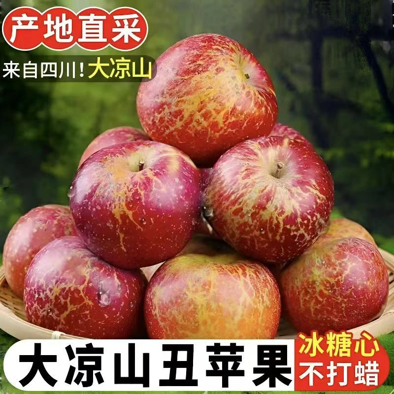 大凉山盐源冰糖心丑苹果现摘脆甜多汁新鲜采摘产地直发5-10斤