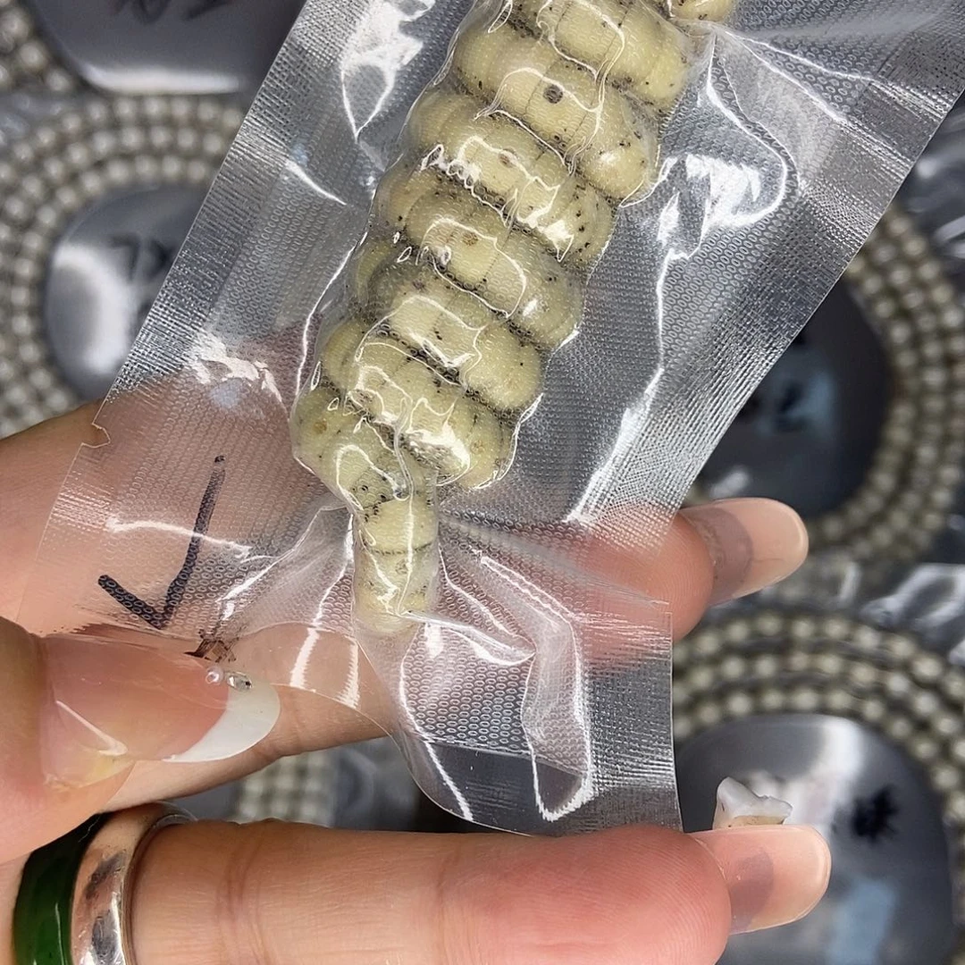 星月菩提手串星月