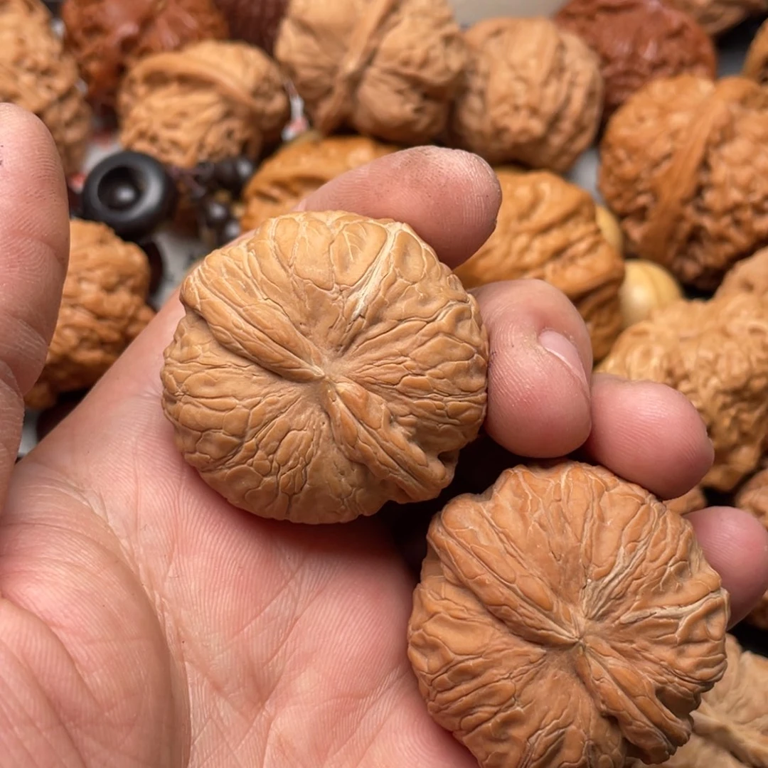 文玩核桃把件I****！元宝