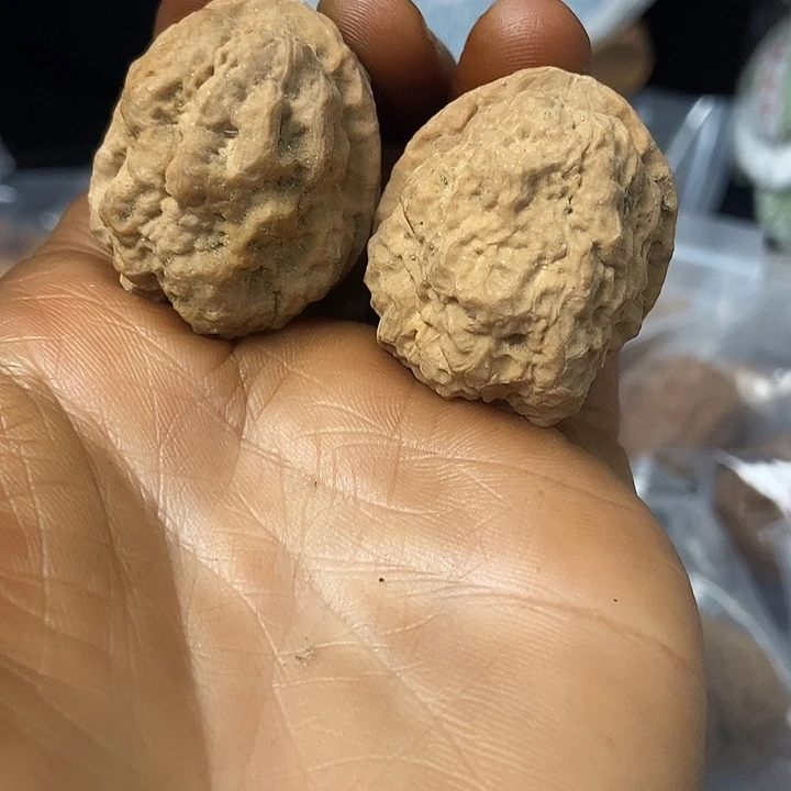 把件文玩核桃云南铁核桃基地44