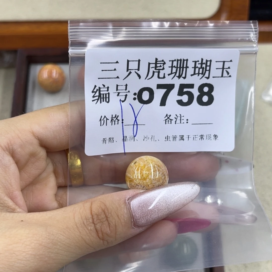 t***e硅化珊瑚（珊瑚玉）h未镶嵌