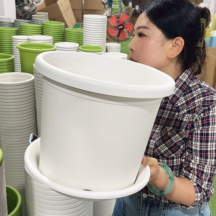 特价5号四季口29高24.5白色6只带托