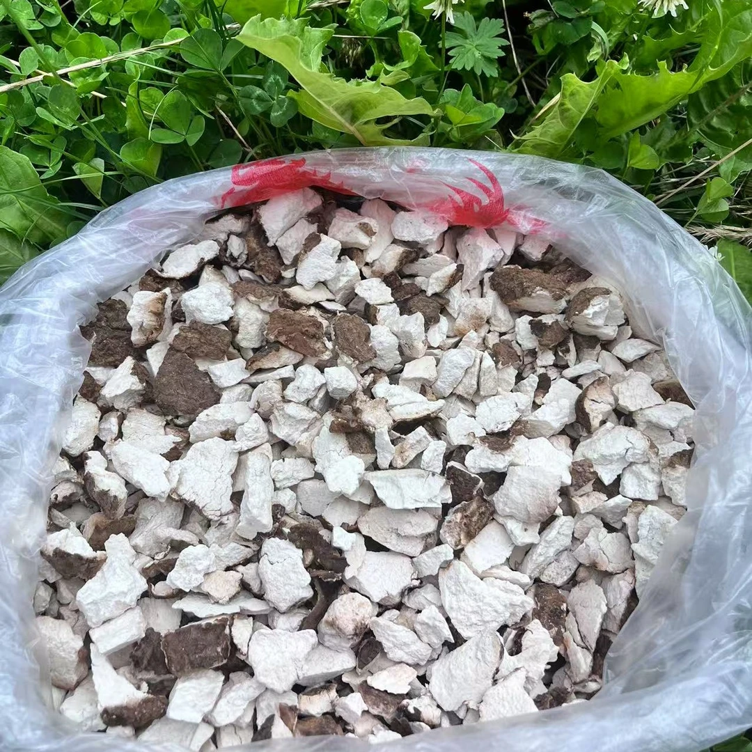 ［三周年福利2］西藏山货茯苓 小碎块（介意慎拍）中秋好礼