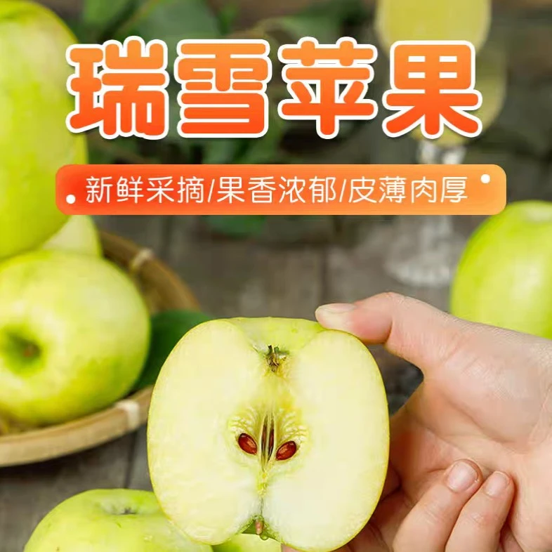 西北农林科技大学研发陕西白水瑞雪青苹果纯甜无酸当季新鲜水果香
