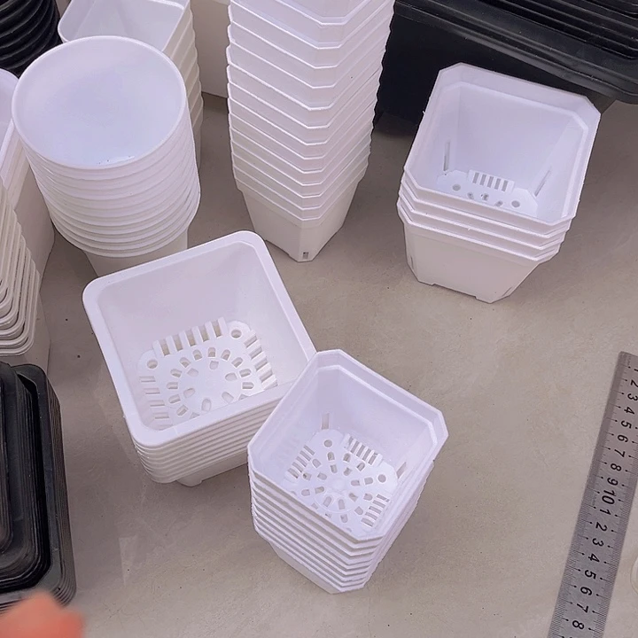 7白方口7高7一组50个