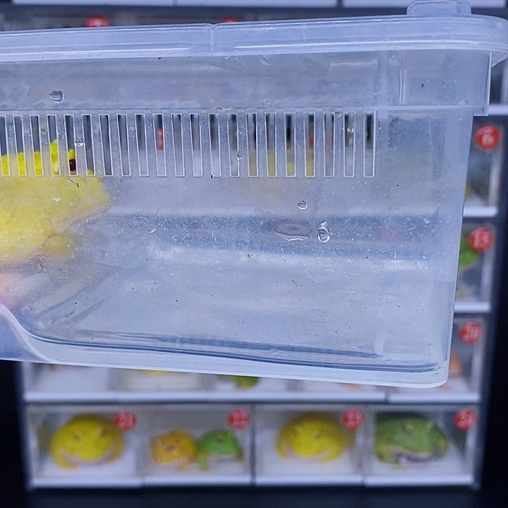 特价秒杀特价活动