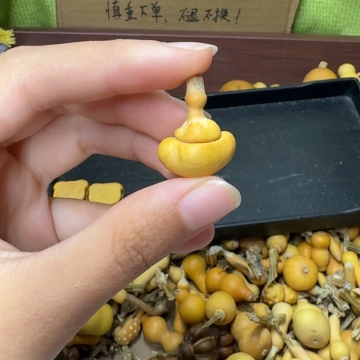 葫芦葫芦葫芦葫芦