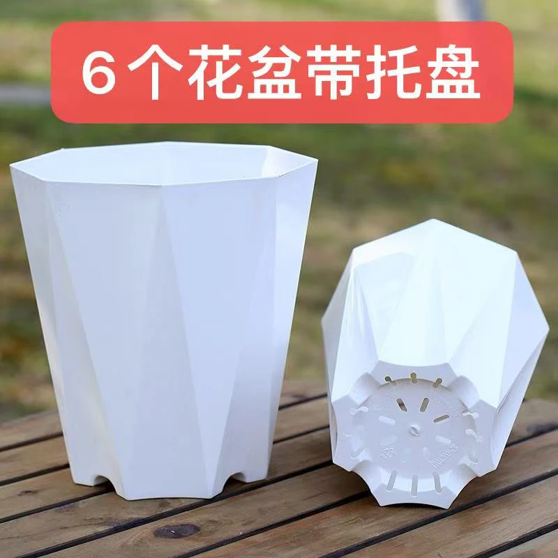 6个【对角16.5高16.5】155白色菱形花盆带托盘