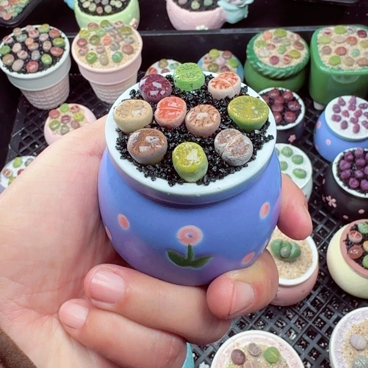 856零下地区记得拍保温箱