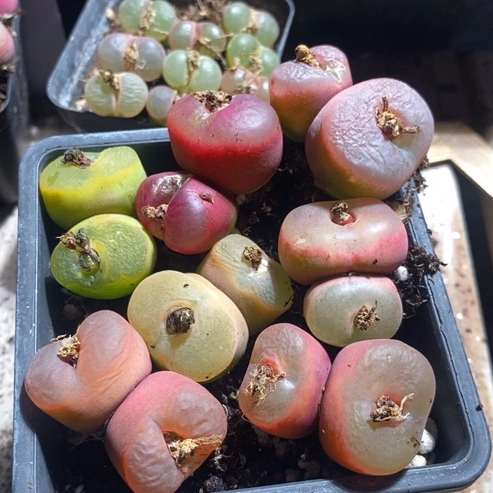 24168一组一组一组