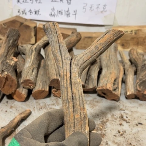 大果紫檀（缅甸花梨）遇*
