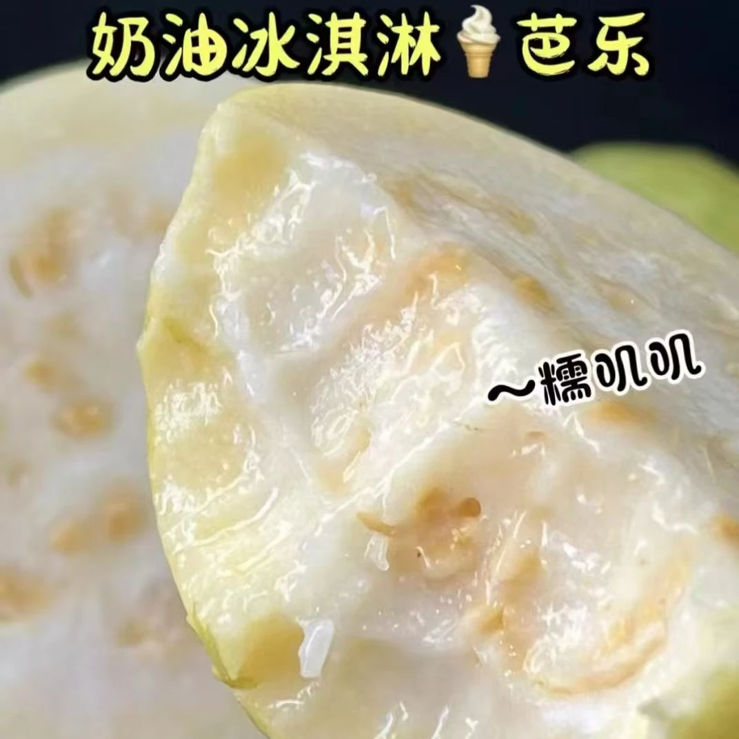 新到（树熟奶油芭乐）3到3.5斤毛重嘎嘎好吃软糯香甜东三省包邮