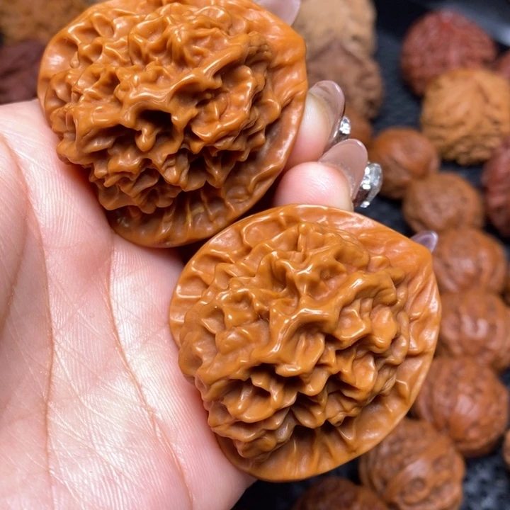 秦岭野生00000000011