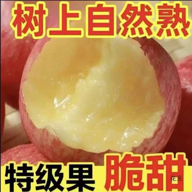 红富士苹果当季水果现摘现发脆甜可口肉厚多汁带箱5斤