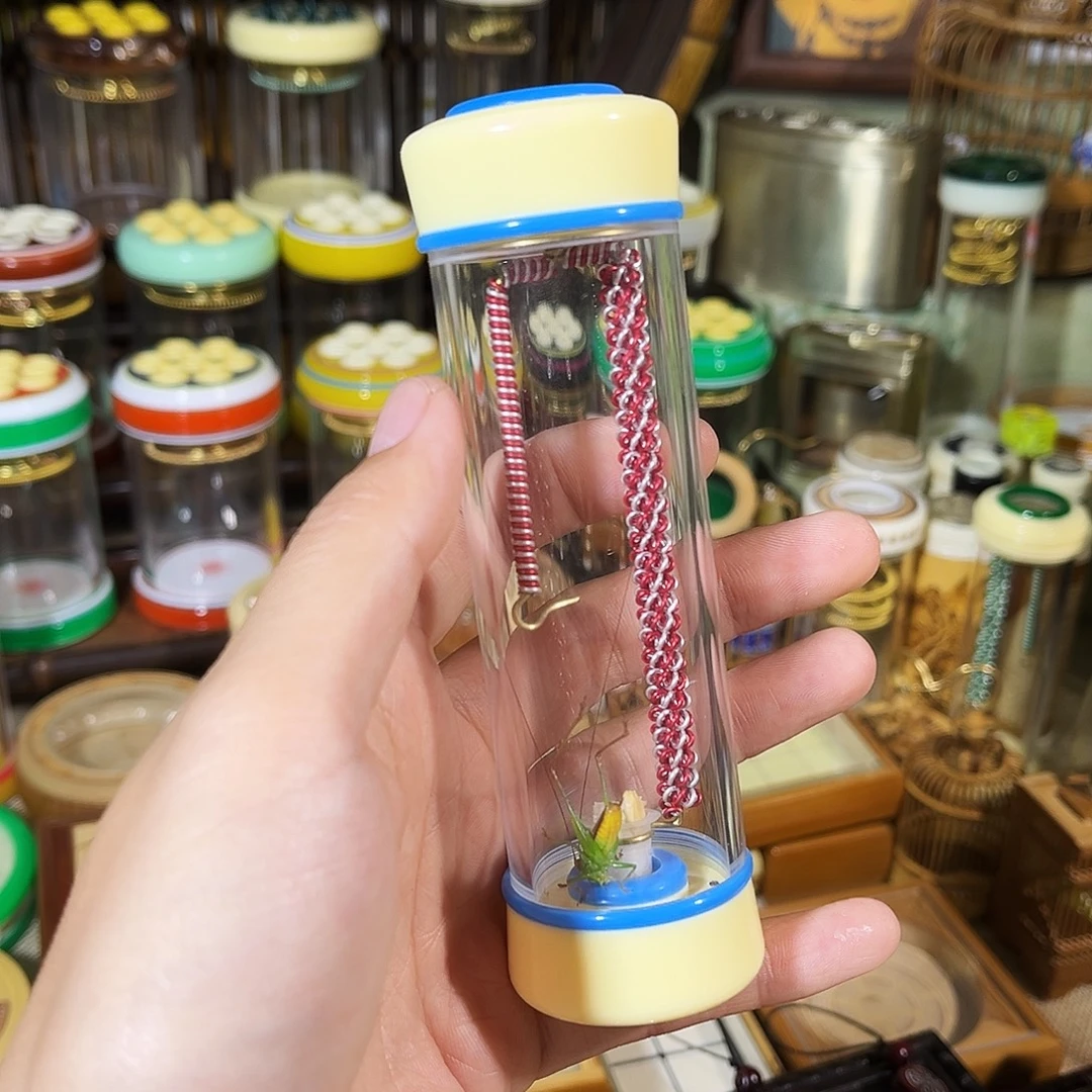 蟋蟀有机竹蛉筒+糖果