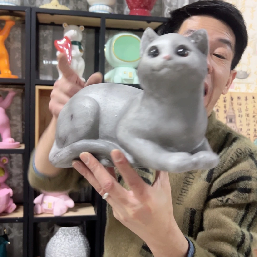 陶红陶红陶陶红陶灰色猫