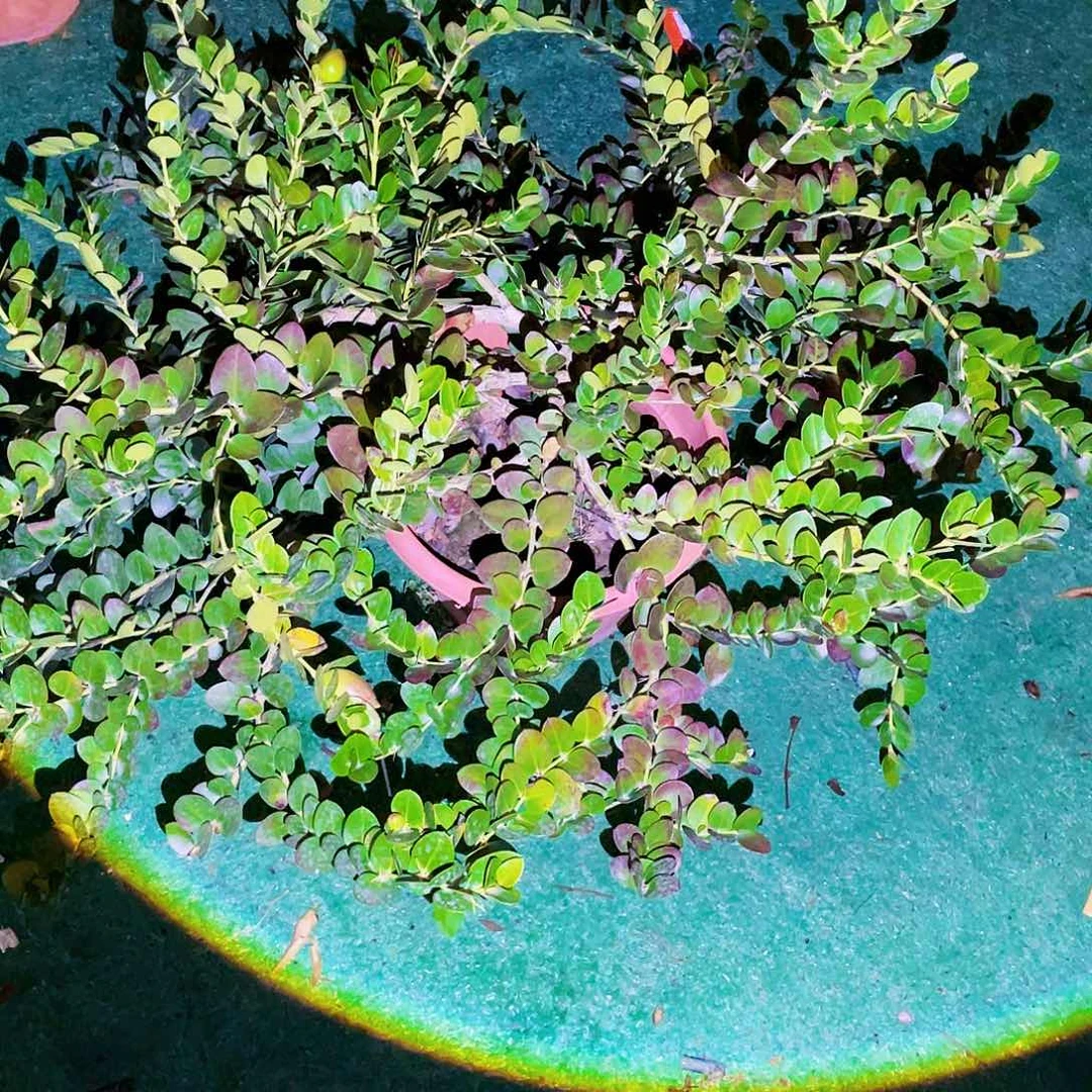 完全开放2222点点滴滴的快乐生活从我的生活