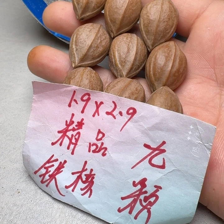 橄榄核手串/手链橄榄哥1.9✖️2.9