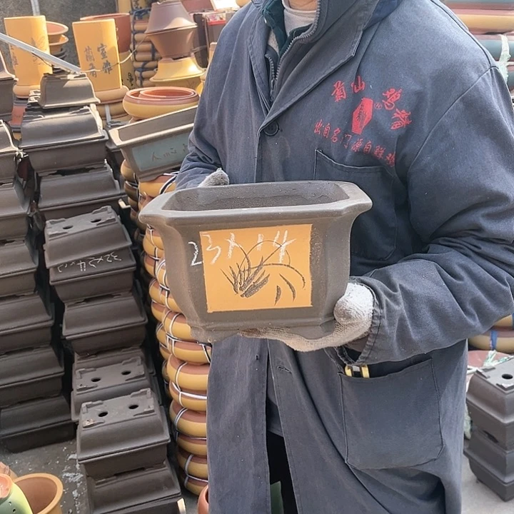 紫砂紫砂花盆和花盆里藏