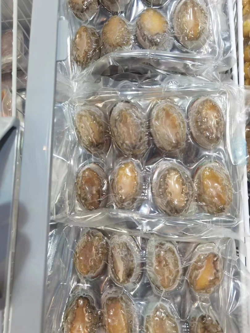 鲜活鲍鱼新鲜冷冻鲍鱼批发鲍鱼冷冻鲍鱼新鲜特大号