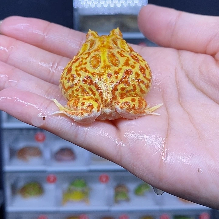 特价秒杀现货特价