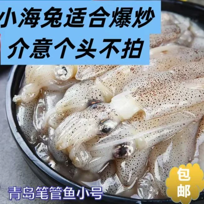 Y【推荐爆炒】迷你小海兔【介意个头慎拍】净4斤原浆无水无冰无沙