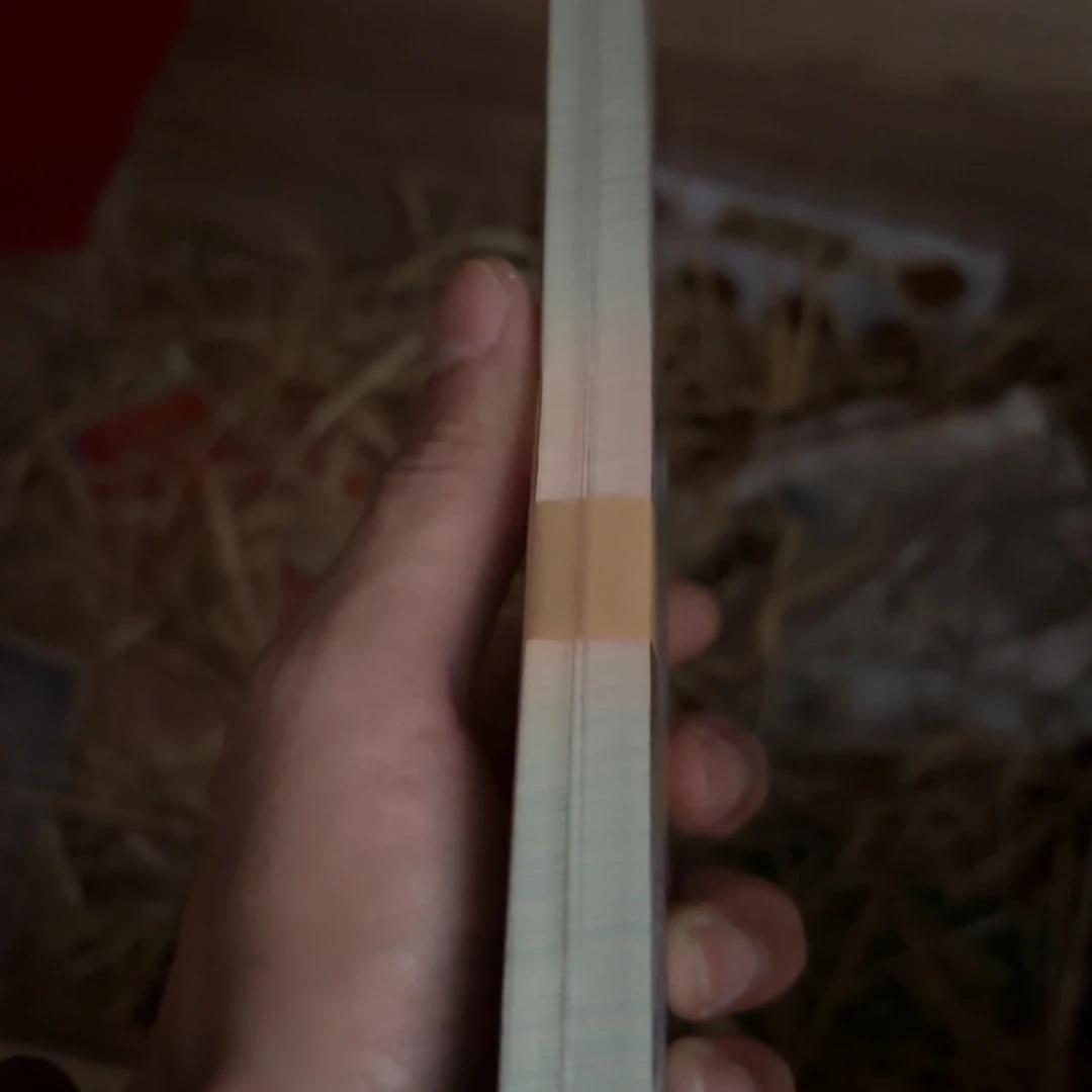 玉534544553432788666666655