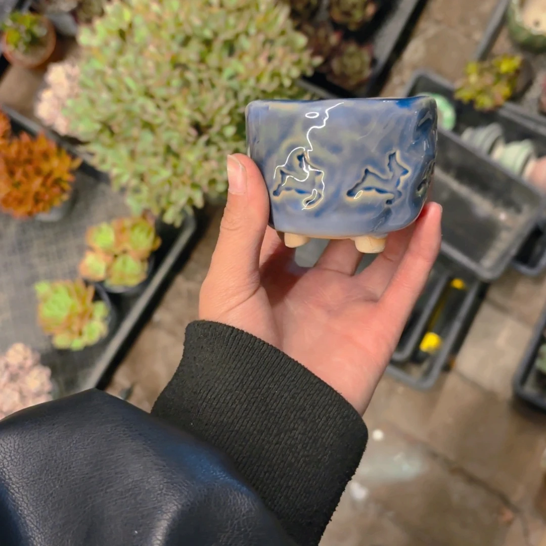 暴***花蓝盆新疆包邮新疆包邮
