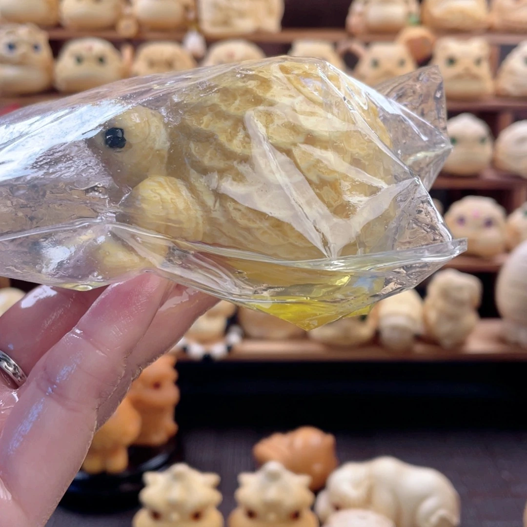 竹金**堂金钱龟福利带油包