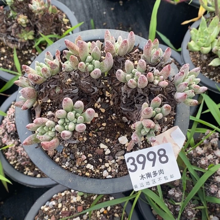 3998哈哈哈哈哈哈哈哈哈哈