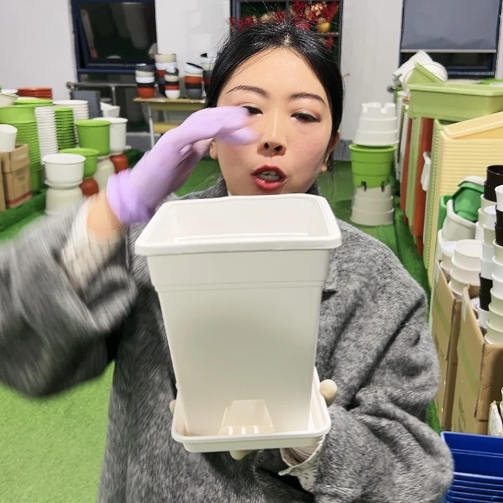 正品方盆口16高18白色5只带托